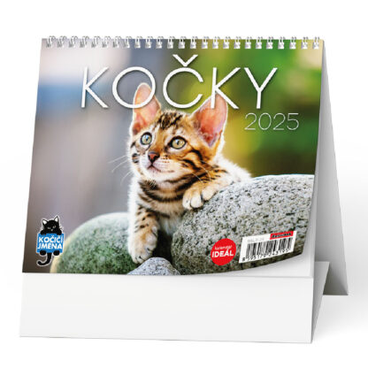 Stolní kalendář 2025 IDEÁL - Kočky /s kočičími jmény/